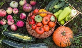 吃瓜娱乐场,吃瓜群众的狂欢盛宴